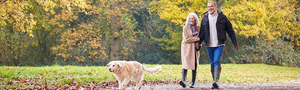 Couple walking dog