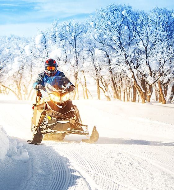 Couple on a snowmobile