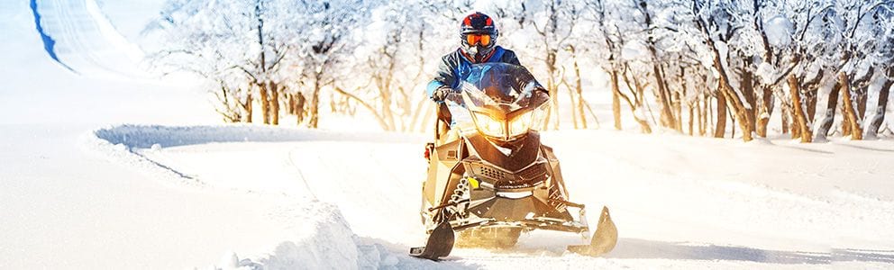 Couple on a snowmobile