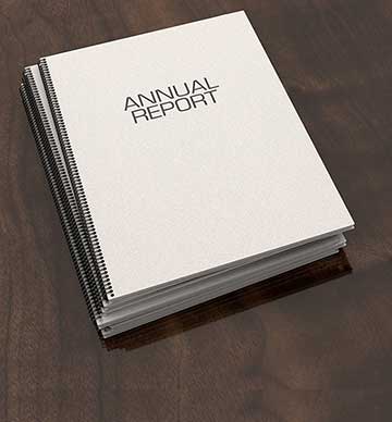 Annual report cover