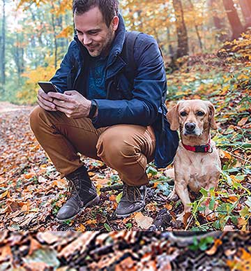 Man in woods